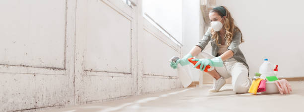 Why You Should Choose Our Mold Remediation Services in Corrales, NM